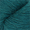 Q64519 - Dark Teal